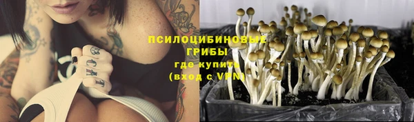 мескалин Ладушкин