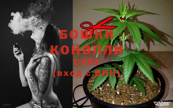 гашик Куйбышев