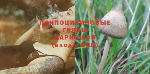 гашик Куйбышев